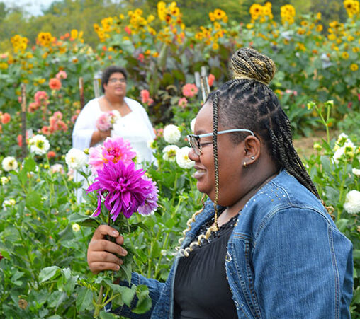 Lauren admires dahlias