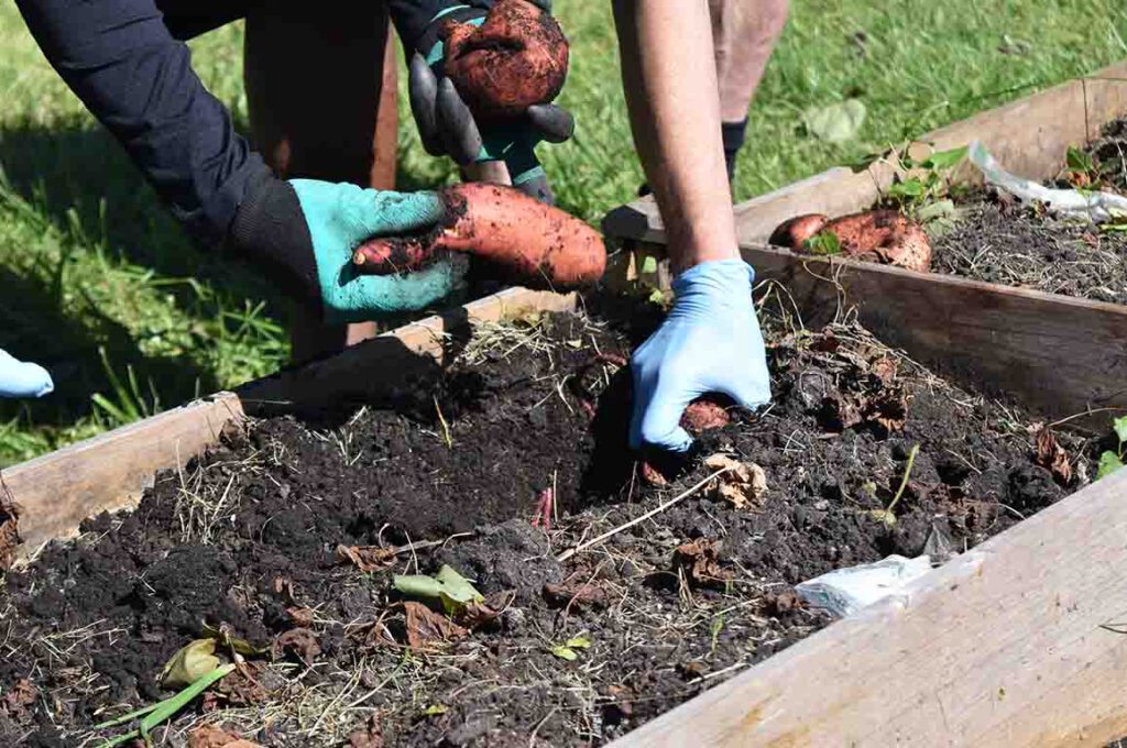 Group Home Gardening